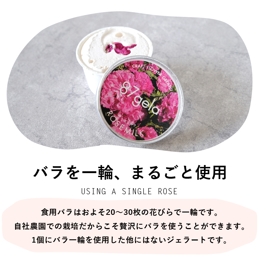 87gela 食べられる薔薇のジェラート おまかせ12個セット 87株式会社 滋賀県 東近江市 B33 バラ 薔薇 ジェラート アイス スイーツ デザート ギフト プレゼント 香料無添加 着色料無添加 きび砂糖 国産クリーム 本間牧場 牛乳 滋賀県産