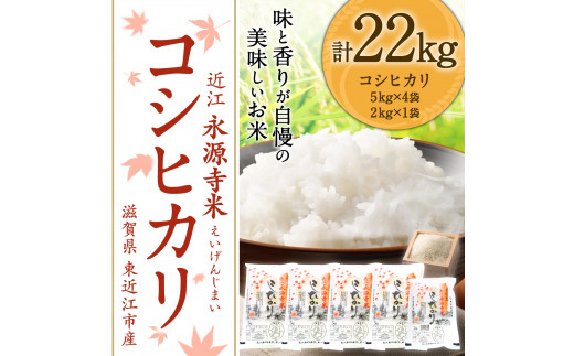 近江永源寺米コシヒカリ 計22kg 株式会社カネキチ 滋賀県 東近江市 E-F02 米 精米 永源寺 こしひかり お米 白米 ご飯