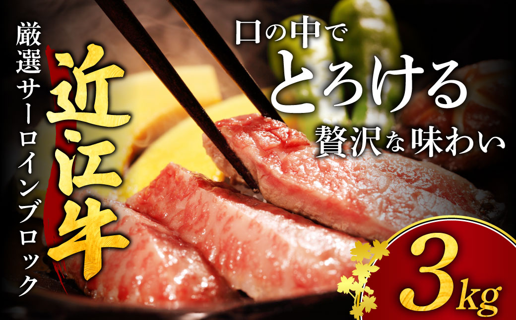 近江牛3kgサーロインブロック 厳選ブロック肉品 安田牧場 滋賀県 東近江市 DC-E01 和牛 ステーキ 焼肉 すき焼き しゃぶしゃぶ 大容量 パーティー お祝い ギフト 贈答 高級