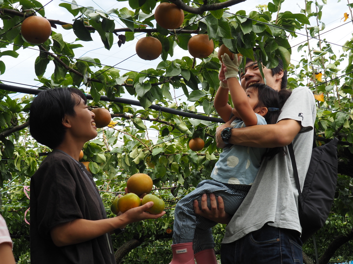 ひがしおうみ農業体験＆古民家貸し切り宿泊チケット NPO法人愛のまちエコ倶楽部 滋賀県 東近江市 F24 宿泊券 体験型 農業体験 古民家 貸切 滋賀