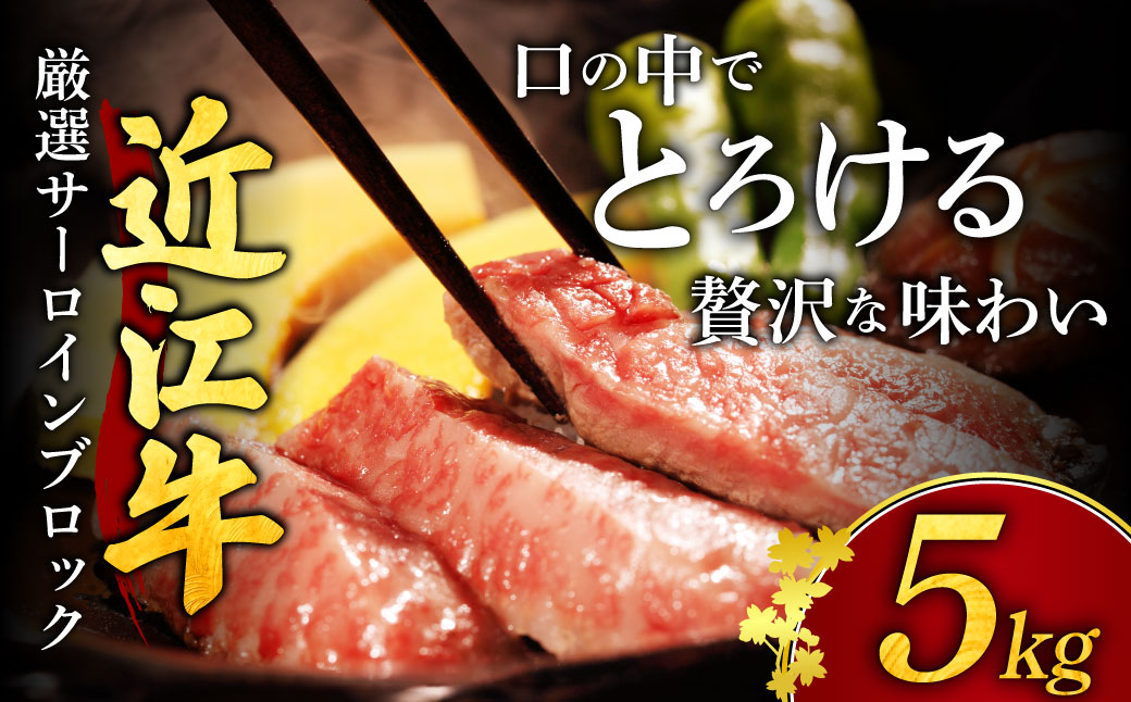 【近江牛５kgサーロインブロック】近江牛　厳選ブロック肉　５kg GB01 安田牧場