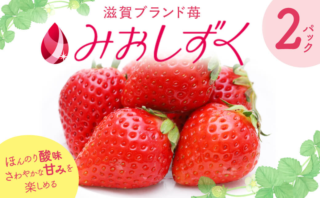 いちご （みおしずく）1箱（2パック入り） 株式会社東近江あぐりステーション 滋賀県 東近江市 O-F03 いちご イチゴ みおしずく 2パック フルーツ 産地直送 ギフト