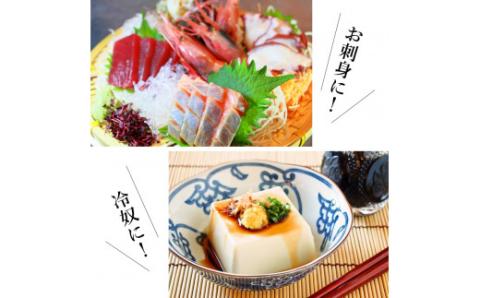 うどんだし 10倍濃縮 株式会社ＴＫＳ 滋賀県 東近江市 A10 うどんスープ 出汁 醤油 万能調味料 濃縮 めんつゆ 国産 かつお 昆布 老舗