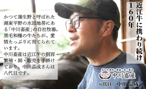 全国肉用牛枝肉共励会最優秀賞受賞 中川牧場の近江牛ロース・赤身６００ｇ[高島屋選定品］　D17　（株）高島屋洛西店