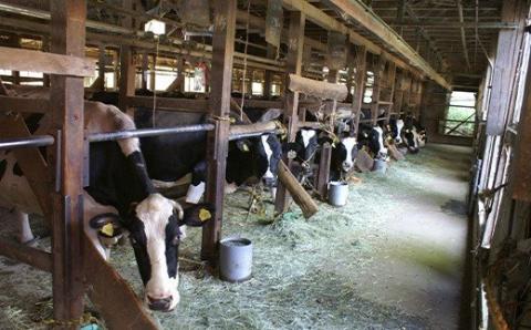 いけぼく 牛乳 ホルスタイン・ジャージーセット 池田牧場 滋賀県 東近江市 O-H11 牧場直送 低温殺菌 成分無調整