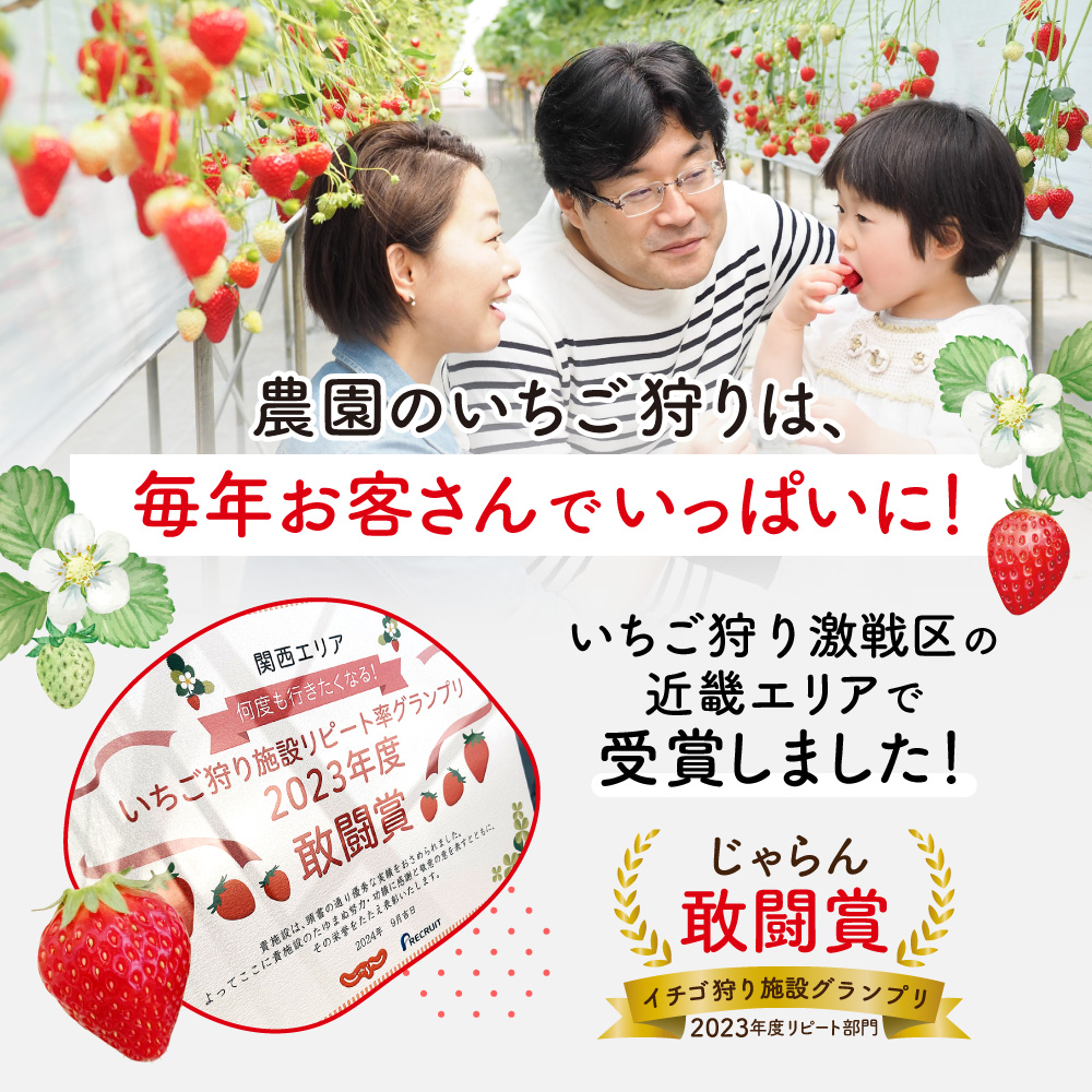 いちご農家の贅沢いちごづくしアイスキャンデー8本セット（いちご・いちごミルク）湖東こぐま農園 滋賀県 東近江市 A-B28 アイス アイスキャンデー 詰め合わせ ギフト スイーツ デザート