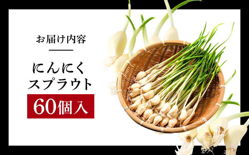 にんにくスプラウト 60個入り グリーンラボ近江 滋賀県 東近江市 A04 にんにく ニンニク 無臭 料理 食材 水耕栽培 野菜 天ぷら