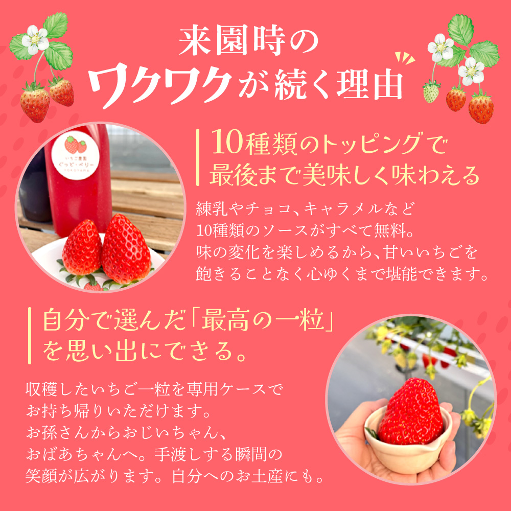 いちご狩りペア入場券 いちご農園ぐっど・べりー 滋賀県 東近江市 B-A12 いちご狩り ペア チケット 滋賀 食べ比べ 9種類 45分間 体験