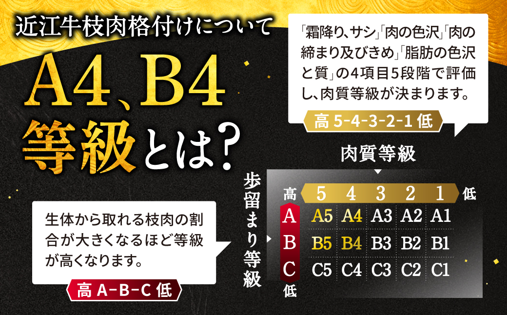 近江牛 希少部位５種 焼肉用 詰合せ 近江牛専門店 万葉 滋賀県 東近江市 B-E06 近江牛 焼肉 希少部位 食べ比べ 詰め合わせ 和牛 霜降り A4 A5 万葉のたれ