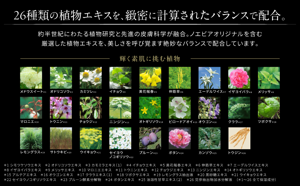 ノエビア 505 薬用スキンローション 株式会社ノエビア 滋賀県 東近江市 D-H01 化粧水 スキンケア エイジングケア 薬用 しわ改善 シミ予防 ナイアシンアミド 保湿