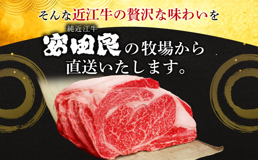 近江牛 ロースブロック肉 1kg 安田牧場 滋賀県 東近江市 E-H02 近江牛 和牛 国産 黒毛和牛 牛肉 肉 ロース ブロック 塊 1kg ステーキ ローストビーフ 焼肉 すき焼き しゃぶしゃぶ 滋賀