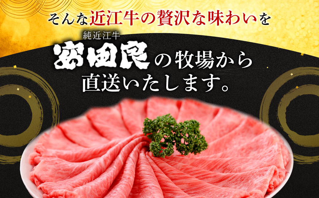 最高級近江牛 厳選すき焼き・しゃぶしゃぶ用 500ｇ 2人～3人前 安田牧場 滋賀県 東近江市 F19 和牛 牛肉 肉 すき焼き しゃぶしゃぶ ギフト お取り寄せ 高級 近江牛