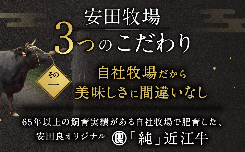 厳選フィレステーキ 150g×3 安田牧場 滋賀県 東近江市 H07 近江牛 フィレステーキ ヒレ ステーキ 和牛 国産牛 ブランド牛 厳選 赤身 ギフト 贈答