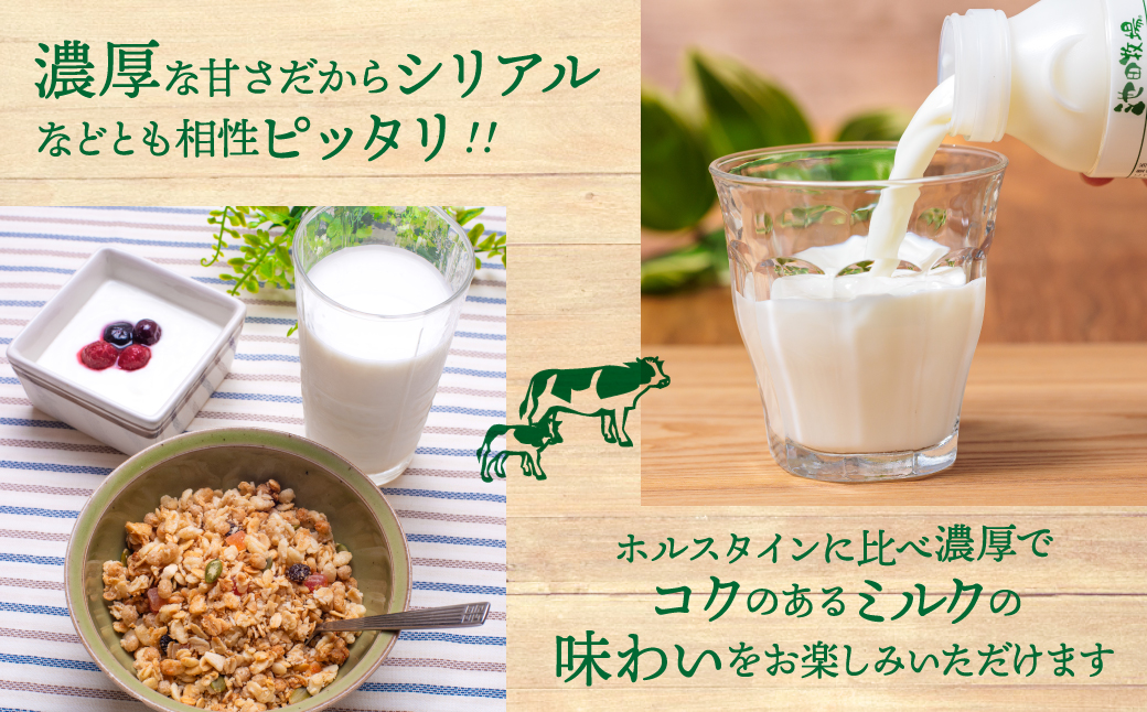 いけぼく牛乳ジャージーセット 池田牧場 滋賀県 東近江市 O-H13 ジャージー牛乳 黄金のミルク 濃厚 ミルク 成分無調整 低温殺菌 牧場直送 滋賀