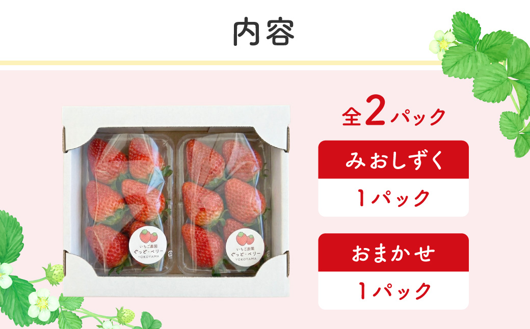 いちご2パック(みおしずく+おまかせ) いちご農園ぐっど・べりー 滋賀県 東近江市 O-G11 いちご 苺 みおしずく 滋賀県産 食べ比べ フルーツ 果物 デザート 旬 直送 取り寄せ