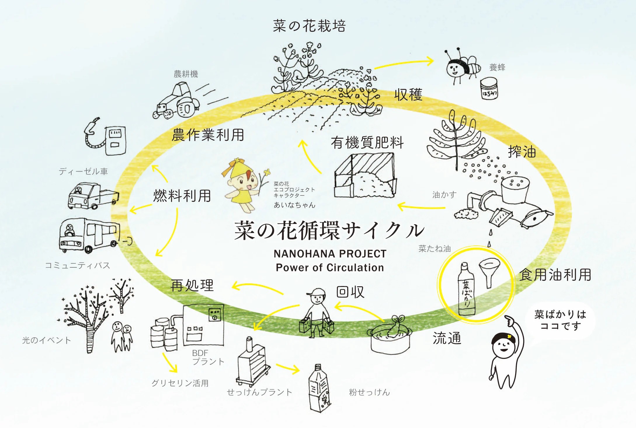 発酵油かす肥料 菜ばかす 5kg×2袋 ＮＰＯ法人 愛のまちエコ倶楽部 滋賀県 東近江市 O-I19 発酵油かす 有機肥料 油粕 菜種油かす 菜の花 エコプロジェクト 肥料 土壌改良 滋賀 環境 農薬不使用
