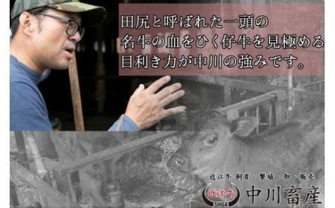 全国肉用牛枝肉共励会最優秀賞受賞 中川牧場の近江牛ロース切り落とし５００ｇ[高島屋選定品］　C24　（株）高島屋洛西店