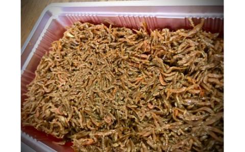 選べる佃煮セット 村井水産有限会社 滋賀県 東近江市 A-C03 佃煮 湖魚 本もろこ ウロリ ご飯のお供 お取り寄せ