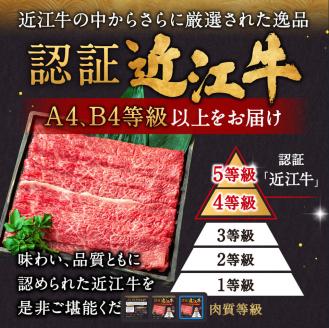 近江牛 カルビ 切り落とし 500g 株式会社びわこフード 滋賀県 東近江市 A-F08 近江牛 焼肉 すき焼き 牛丼 肉じゃが 500g A4 A5 霜降り 和牛 高級 国産 ブランド牛