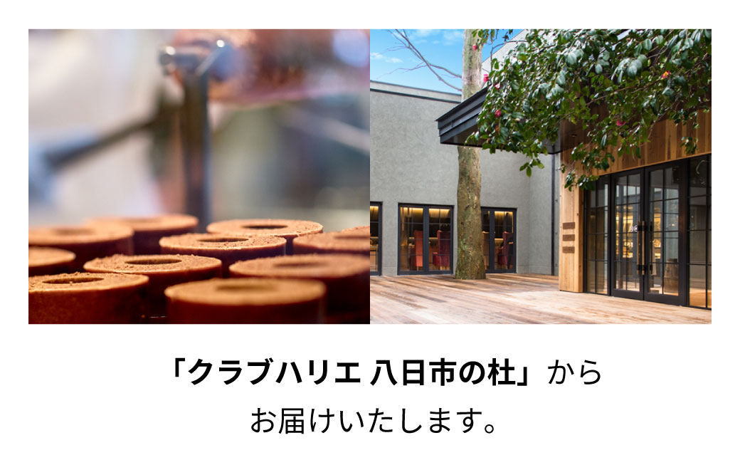 バームクーヘンminiショコラ 6個入 シェアボックス クラブハリエ八日市の杜 滋賀県 東近江市 A-A18 バウムクーヘン バームクーヘン チョコレート ショコラ 個包装 詰め合わせ お菓子 スイーツ