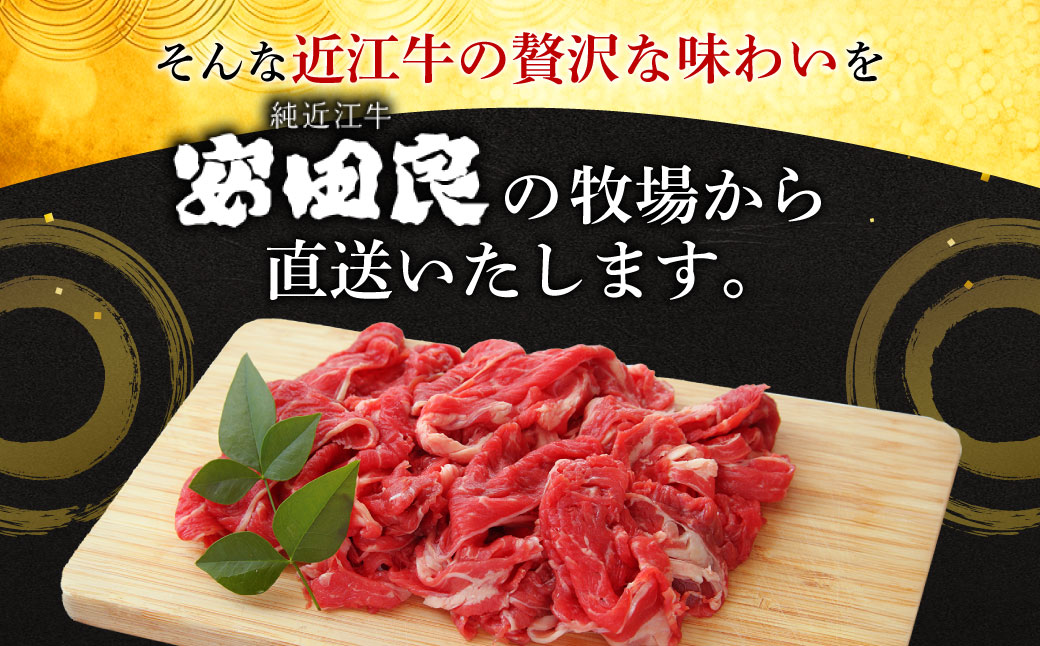 切り落とし 近江牛 こま肉 500g 安田牧場 滋賀県 東近江市 A-B16 近江牛 切り落とし こま肉 500g 滋賀県産 安田牧場 ブランド牛 和牛 国産牛 高級肉 牛肉 訳あり 小間切れ 炒め物