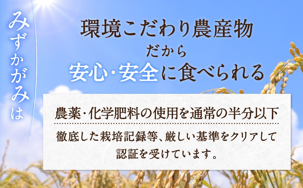 みずかがみ レトルトご飯 200g×18個 パックご飯 A-A01 滋賀県 東近江市 ごはん 滋賀県産 JAグリーン近江 お米 備蓄 非常食 災害