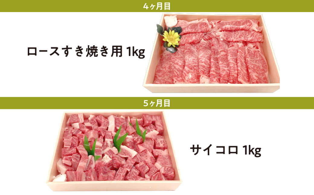 定期便 近江牛ロース満喫コース（5回）サーロイン1kg,厚切り1kg,ブロック1kg,すき焼き1kg,サイコロ1kg 肉の大助 滋賀県 東近江市 CO05 近江牛 定期便 5回 ロース A4 A5 食べ比べ