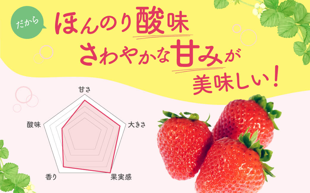 いちご （みおしずく）1箱（2パック入り） 株式会社東近江あぐりステーション 滋賀県 東近江市 O-F03 いちご イチゴ みおしずく 2パック フルーツ 産地直送 ギフト