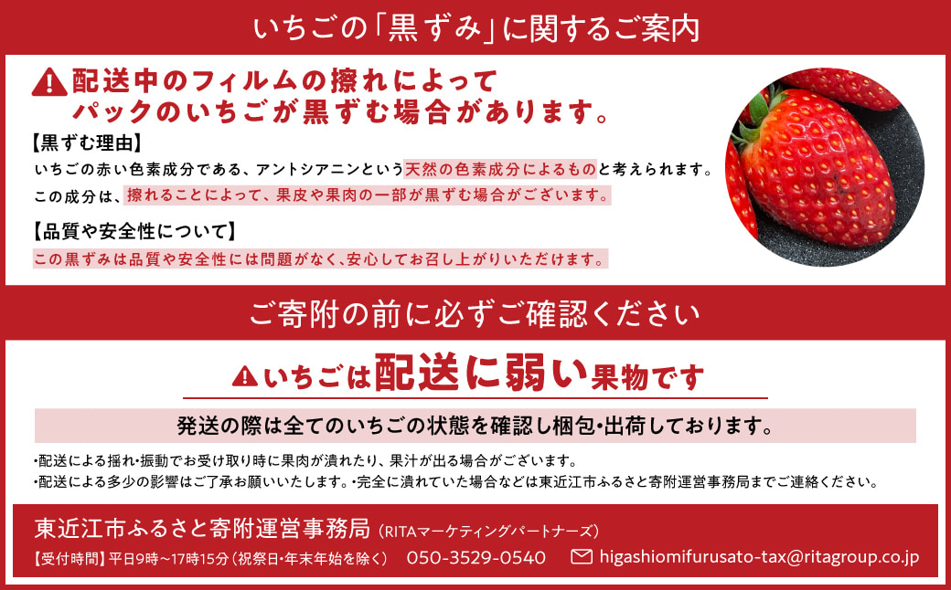 いちご かおり野 250g×2 こちファーム 滋賀県 東近江市 O-G03 いちご 苺 ストロベリー かおり野 大粒 完熟 産直 甘い ブランド苺 フルーツ 果物 滋賀