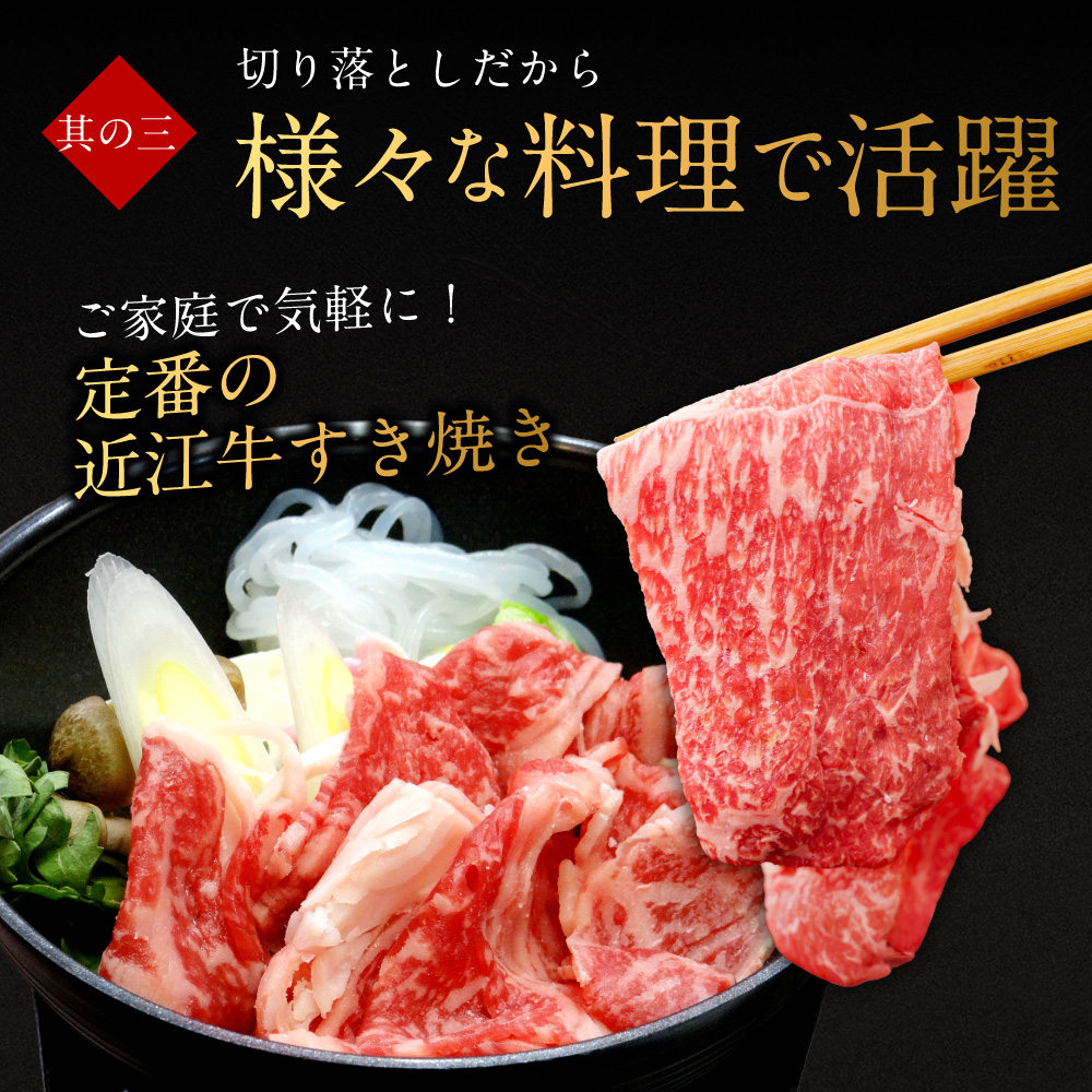 近江牛切り落とし 500ｇ 西川精肉店 滋賀県 東近江市 O-I15 和牛 牛肉 肉 切り落とし 焼肉 すき焼き 炒め物 ギフト お取り寄せ 高級 近江牛