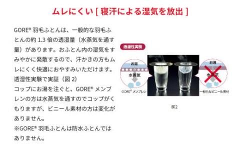 西川 GORE 羽毛掛けふとん〈ホワイトグース〉シングル [高島屋選定品］IB02