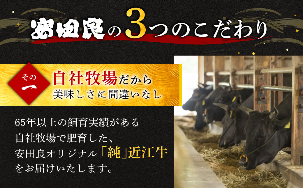 切り落とし 近江牛 こま肉 500g 安田牧場 滋賀県 東近江市 A-B16 近江牛 切り落とし こま肉 500g 滋賀県産 安田牧場 ブランド牛 和牛 国産牛 高級肉 牛肉 訳あり 小間切れ 炒め物