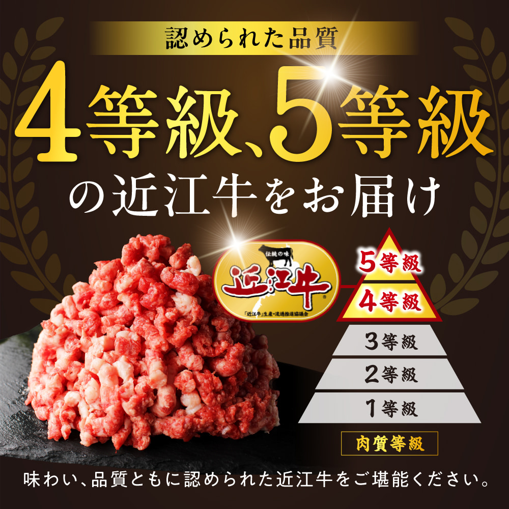 極上近江牛粗びきミンチ 800g と近江牛の牛脂ミンチ 200g のセット 近江牛専門店 万葉 株式会社びわこフード(近江牛専門店 万葉) 滋賀県 東近江市 A-B19 牛肉 近江牛 挽肉 ミンチ 粗挽き 牛脂 A4 A5ランク 和牛 料理 ハンバーグ 餃子