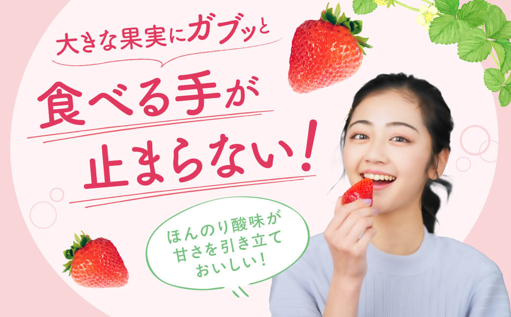 いちご みおしずく ２箱４パック入り 株式会社東近江あぐりステーション 滋賀県 東近江市 A-B26 いちご イチゴ 苺 みおしずく 滋賀県 東近江市 産地直送 章姫 かおり野 フルーツ 果物 スイーツ 大容量 まとめ買い ２箱 ４パック 香り 芳醇 お礼の品 寄付