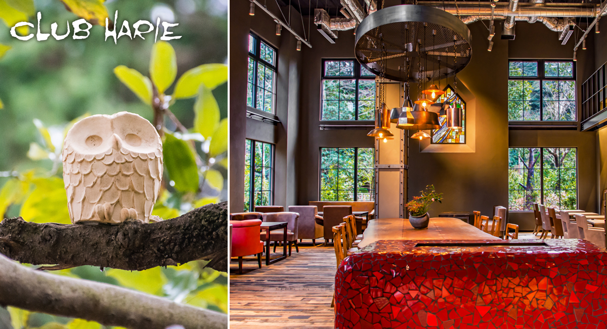 ショコラバームmini 6個入 クラブハリエ八日市の杜 滋賀県 東近江市 A-C20 スイーツ チョコ チョコレート バームクーヘン 焼き菓子 お取り寄せ 絶品 人気 ギフト プレゼント お菓子