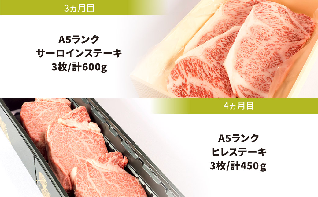 定期便 A5ランク 近江牛 満足コース 4カ月 株式会社びわこフード(近江牛専門店 万葉) 滋賀県 東近江市 BO04 焼肉 すき焼き 食べ比べ 和牛