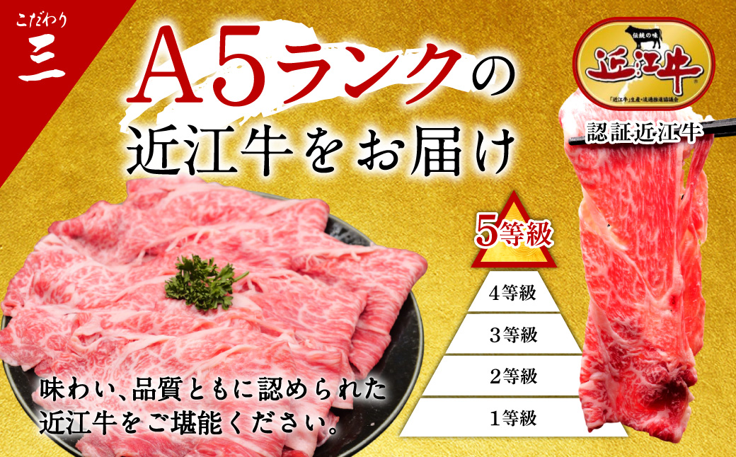 近江牛 すき焼き用500g 切り落とし300g セット（計800ｇ） 3～6人前 有限会社 常松商店 滋賀県 東近江市 C-B07 ブランド牛 和牛 厳選 肉 霜降り 赤身 国産 高級 すきやき 焼肉 しゃぶしゃぶ 冷凍 ギフト 贈答 送料無料