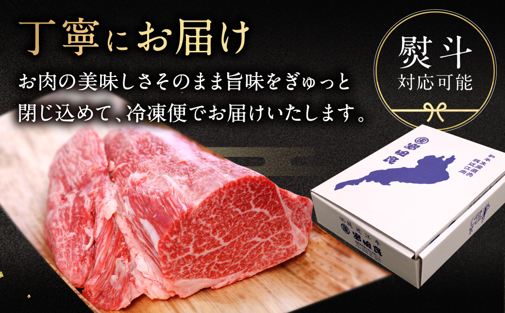 厳選フィレブロック 500g 安田牧場 滋賀県 東近江市 H-D03 近江牛 フィレ ステーキ ローストビーフ