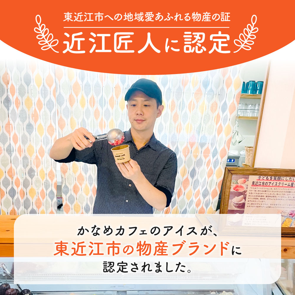 アソート12個セット H.Bコミュニケーションズ合同会社（かなめカフェ） 滋賀県 東近江市 A18 アイスクリーム ジェラート 12個 近江 滋賀