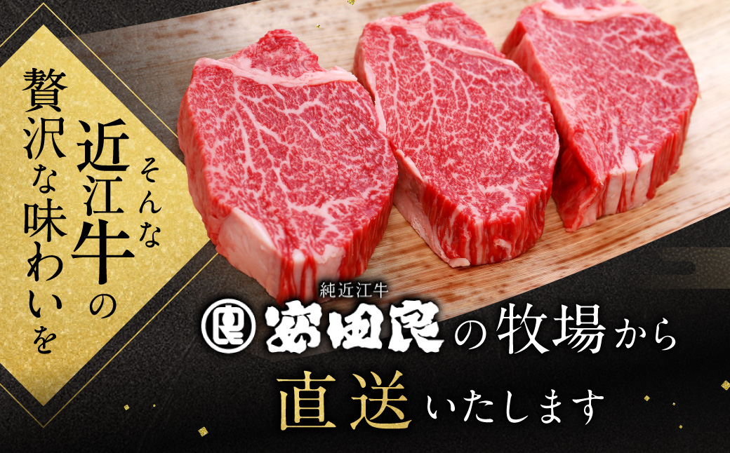 厳選フィレステーキ 150g×5 安田牧場 滋賀県 東近江市 AC-D01 近江牛 フィレ ステーキ 150g 5枚 安田牧場 ブランド牛 厳選 和牛 国産牛 高級肉 赤身 贈答品 お取り寄せ 滋賀県産 東近江市