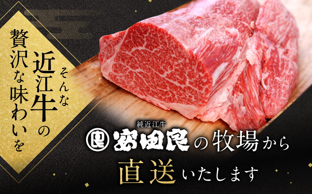 厳選フィレブロック 1kg 安田牧場 滋賀県 東近江市 AF-G01 近江牛 和牛 フィレ肉 ヒレ肉 ブロック 塊肉 ステーキ 焼肉 希少部位 贅沢 ギフト