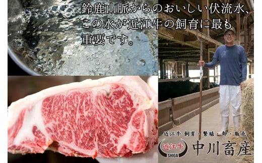 定期便 令和4年度 全国肉用牛枝肉共励会 最優秀賞受賞 近江牛食べ比べ満足コース（4カ月） 髙島屋選定品 中川畜産 滋賀県 東近江市 CO02 近江牛 定期便 食べ比べ 和牛 最優秀賞 受賞 A4 A5 ギフト