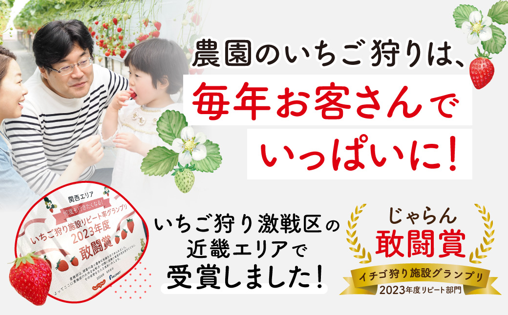 いちご農家の贅沢いちごづくしアイスキャンデー6本セット（いちご・いちごミルク） 湖東こぐま農園 滋賀県 東近江市 O-I20 いちご アイス キャンデー 6本 贅沢 いちごミルク 湖東こぐま農園 手作り ホームメイド ご当地アイス アイスクリーム スイーツ デザート 完熟 いちご農家 滋賀県 東近江市