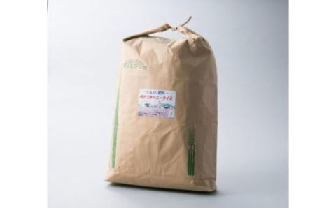 ハニーライス白米 キヌヒカリ 30kg（精米後27kg程度） 農事組合法人万葉の郷ぬかづか 滋賀県 東近江市 E-H04 キヌヒカリ 30kg 27kg お米 米 白米 精米 滋賀 東近江 レンゲ 特別栽培 環境こだわり