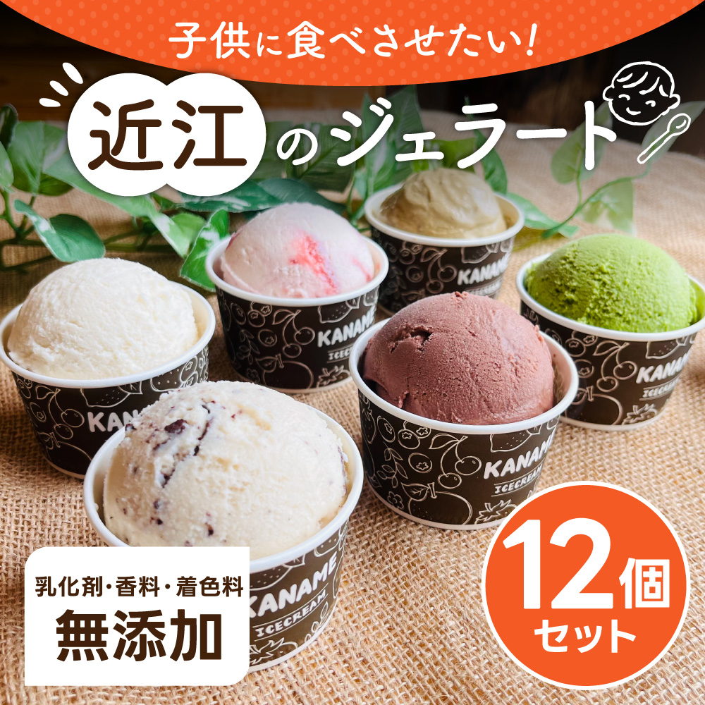 アソート12個セット H.Bコミュニケーションズ合同会社（かなめカフェ） 滋賀県 東近江市 A18 アイスクリーム ジェラート 12個 近江 滋賀