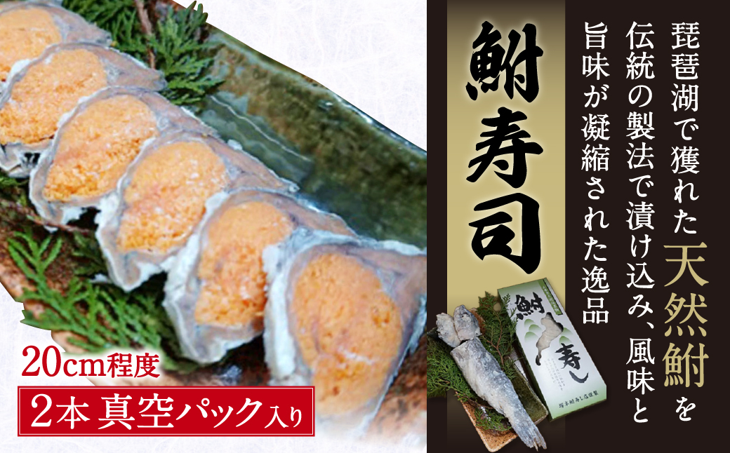 びわこ産鮒寿し 子持ち真空パック入り2本 進物用箱付き 塚本鮒寿し店 滋賀県 東近江市 A32 鮒寿司 鮒寿し 寿司 魚介類 和食 ギフト おつまみ ご飯のお供