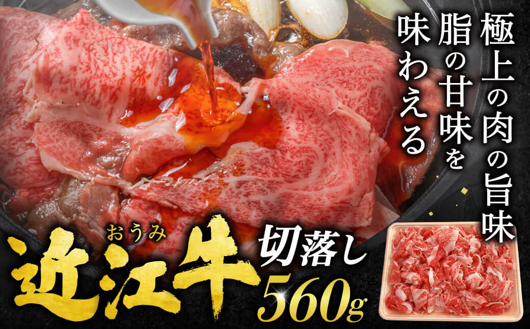 近江牛 切落し 560g お肉処 ちかえ 滋賀県 東近江市 A54 近江牛 切り落とし 牛肉 黒毛和牛 すき焼き しゃぶしゃぶ