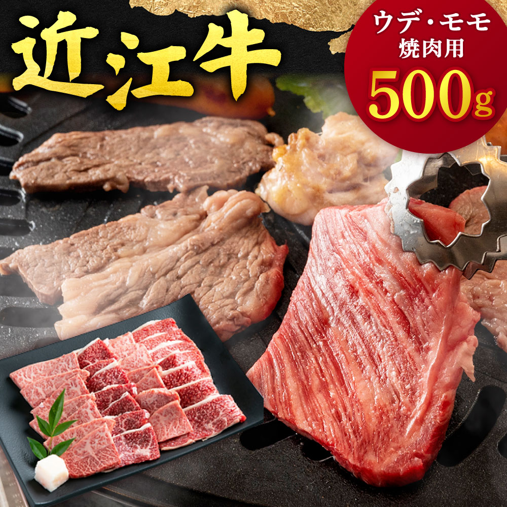 近江牛 ウデ ・ モモ 焼肉用 500g 本多商店 滋賀県 東近江市 B-F12 近江牛 ウデ モモ 焼肉 牛肉 和牛 肉 霜降り 赤身 美味しい ギフト プレゼント 贈答品 お取り寄せ 高級