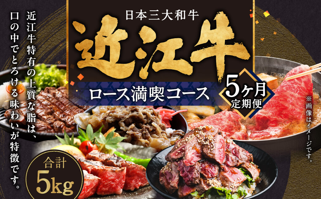 定期便 近江牛ロース満喫コース（5回）サーロイン1kg,厚切り1kg,ブロック1kg,すき焼き1kg,サイコロ1kg 肉の大助 滋賀県 東近江市 CO05 近江牛 定期便 5回 ロース A4 A5 食べ比べ