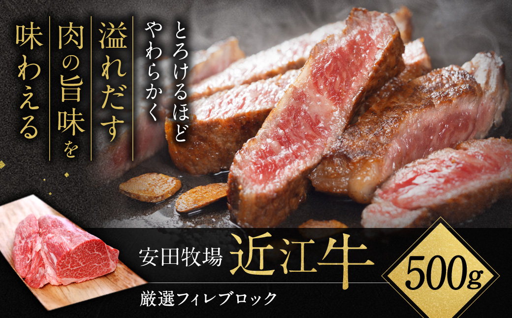 厳選フィレブロック 500g 安田牧場 滋賀県 東近江市 H-D03 近江牛 フィレ ステーキ ローストビーフ
